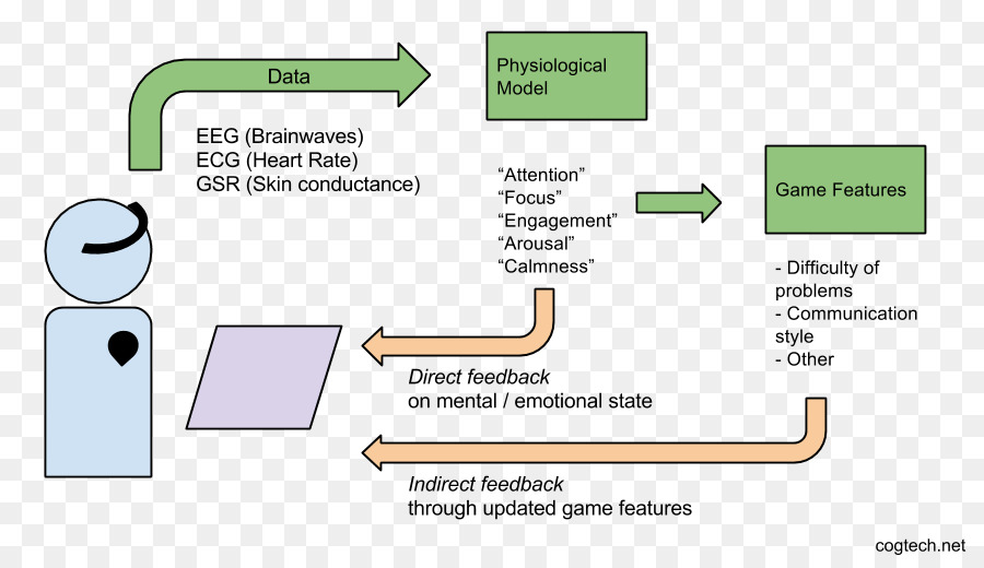 Biofeedback，La Actividad Electrodérmica PNG