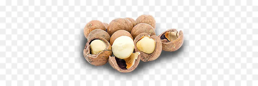 Nuez，Nuez De Macadamia PNG