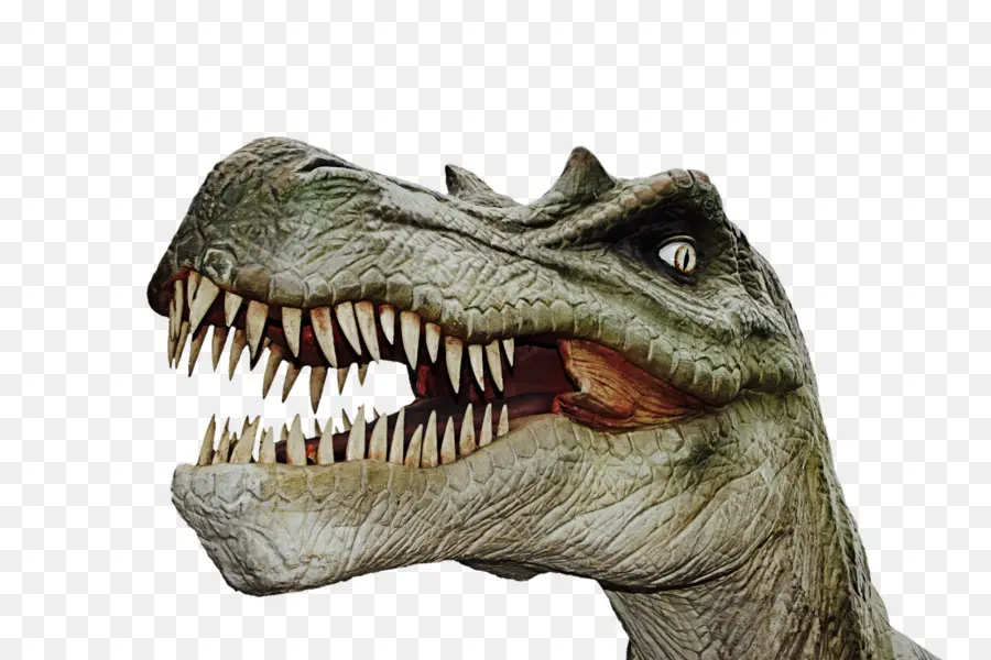 Tyrannosaurus，Peligrosos Dinosaurios PNG