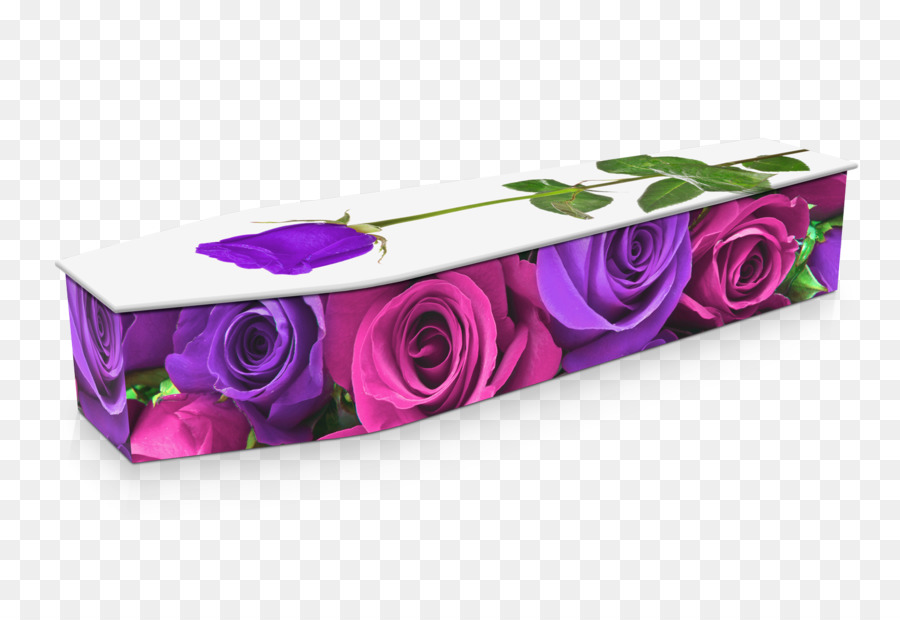 Ataúd Floral，Rosas PNG