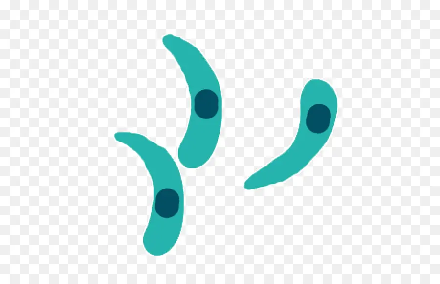 Bacterias，Gérmenes PNG