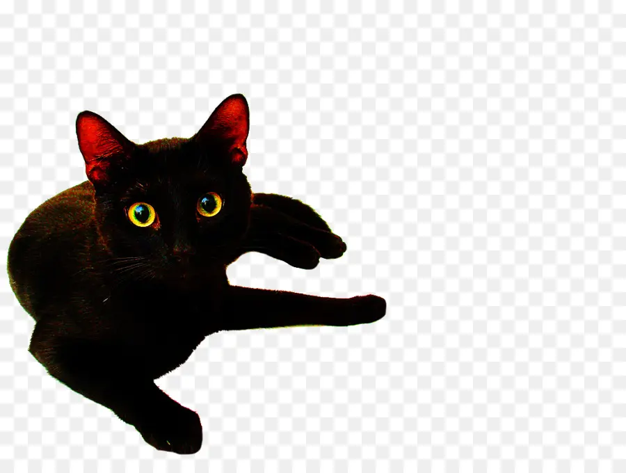 Gato Negro，Mascota PNG