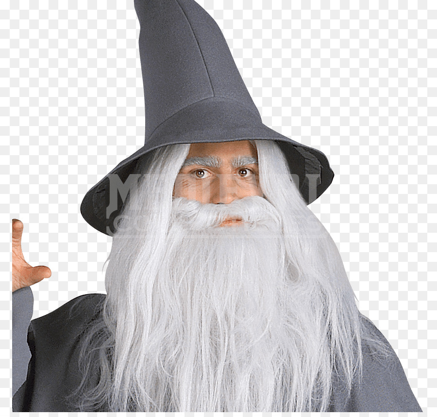 Gandalf，El Señor De Los Anillos La Comunidad Del Anillo PNG