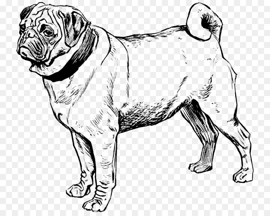 Buldog，Perro PNG