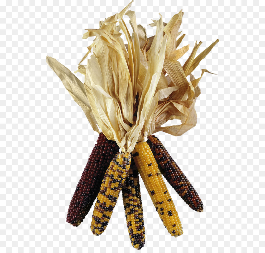 Las Palomitas De Maíz，El Maíz PNG