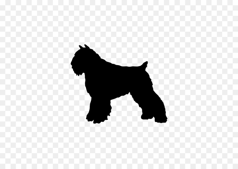 Schnauzer Miniatura，Affenpinscher PNG