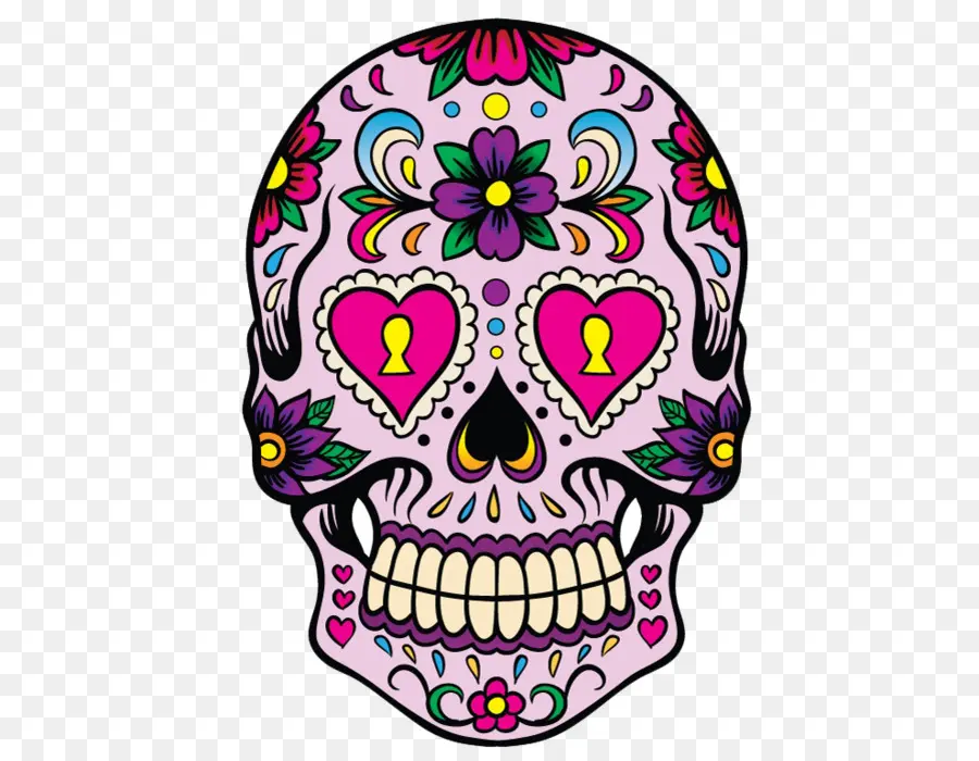 Calavera，Cráneo PNG