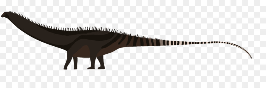 Tyrannosaurus，Diplodocus PNG