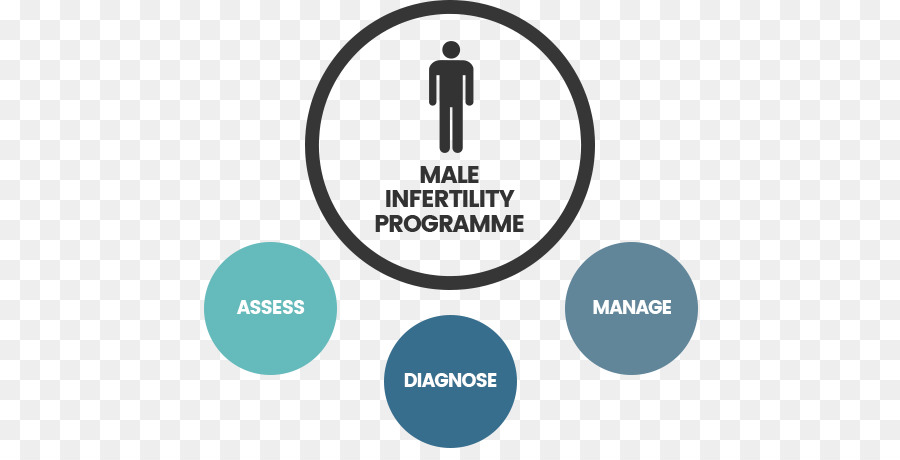 La Infertilidad Masculina，Clínica De Fertilidad PNG