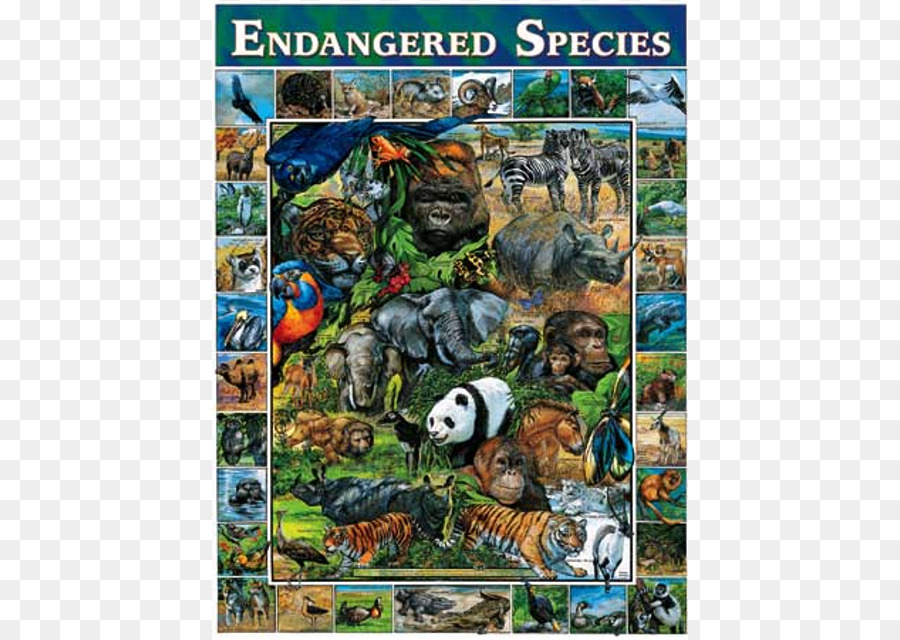 Especies En Peligro De Extinción，Rompecabezas PNG
