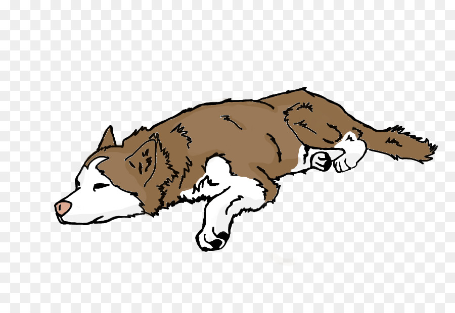 Perro，Oso PNG