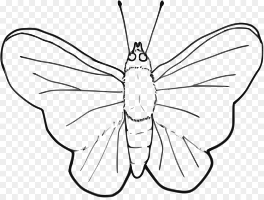 Dibujo De Mariposa，Insecto PNG