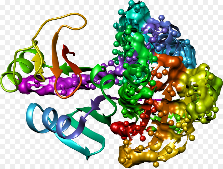 Estructura，La Química PNG