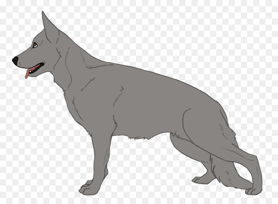 Lobo，Canino PNG