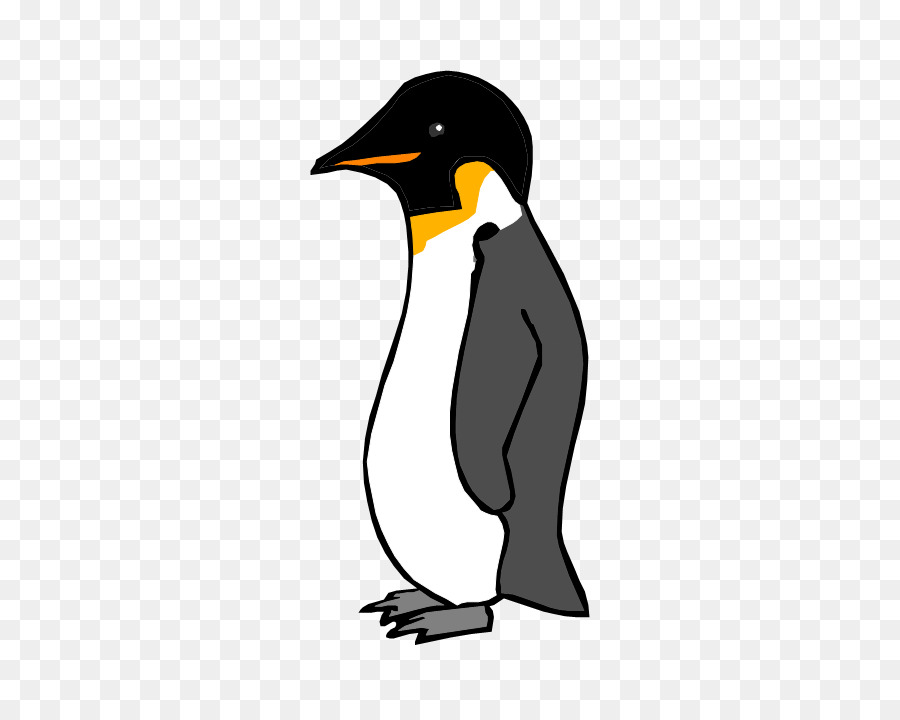 Pingüino Rey，Penguin PNG