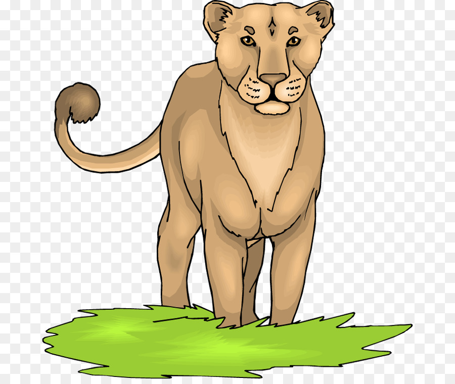 León，Cougar PNG