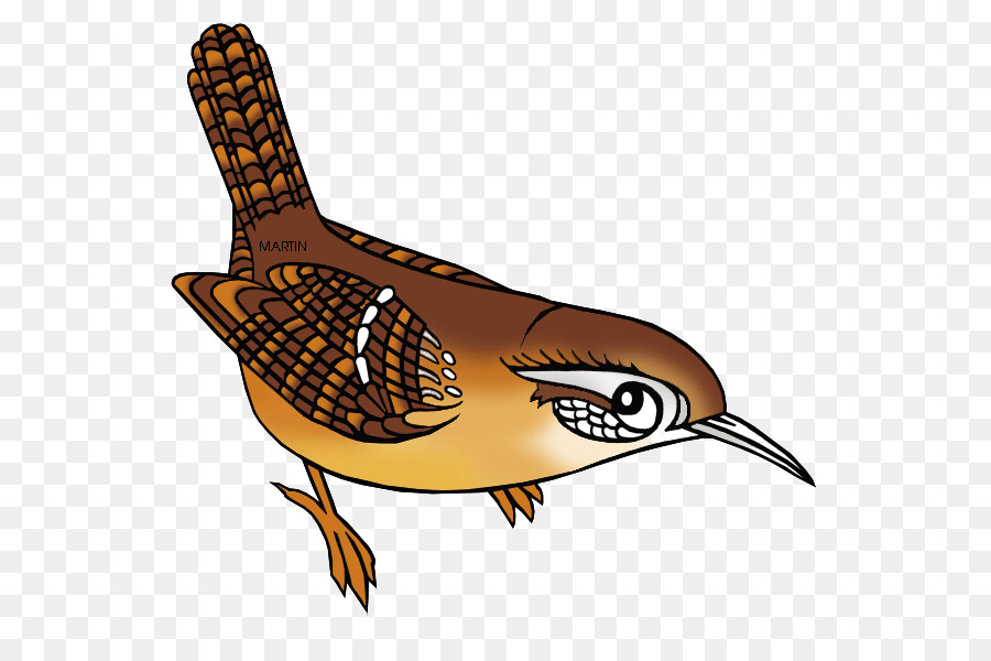 Wren，Carolina Del Sur PNG