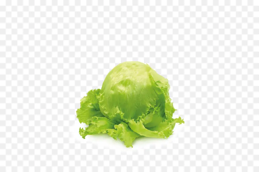 Lechuga Verde，Fresco PNG