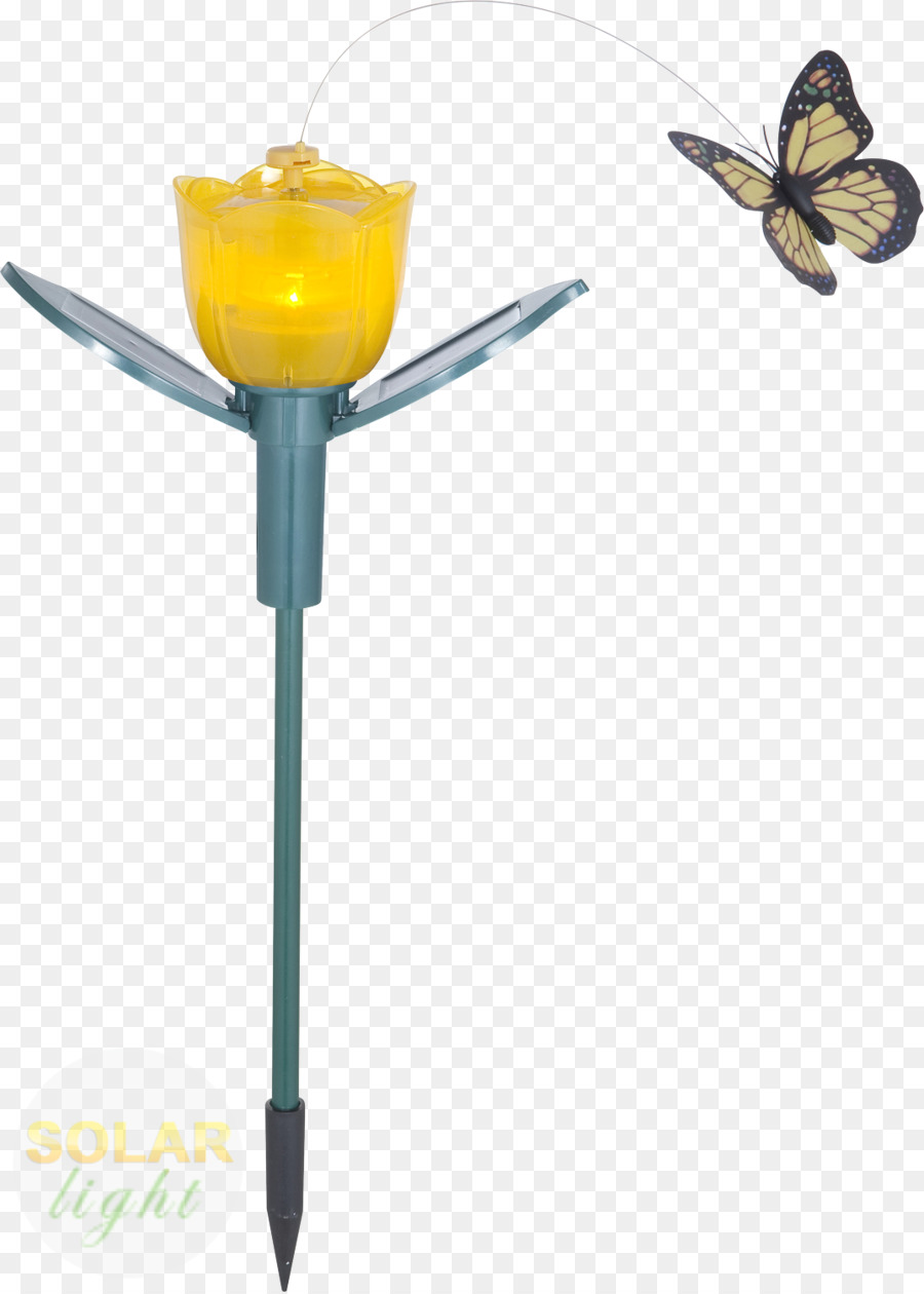 Las Mariposas Y Las Polillas，Luminaria PNG