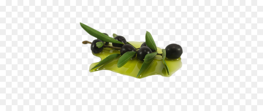 La Hoja De Olivo，De Oliva PNG