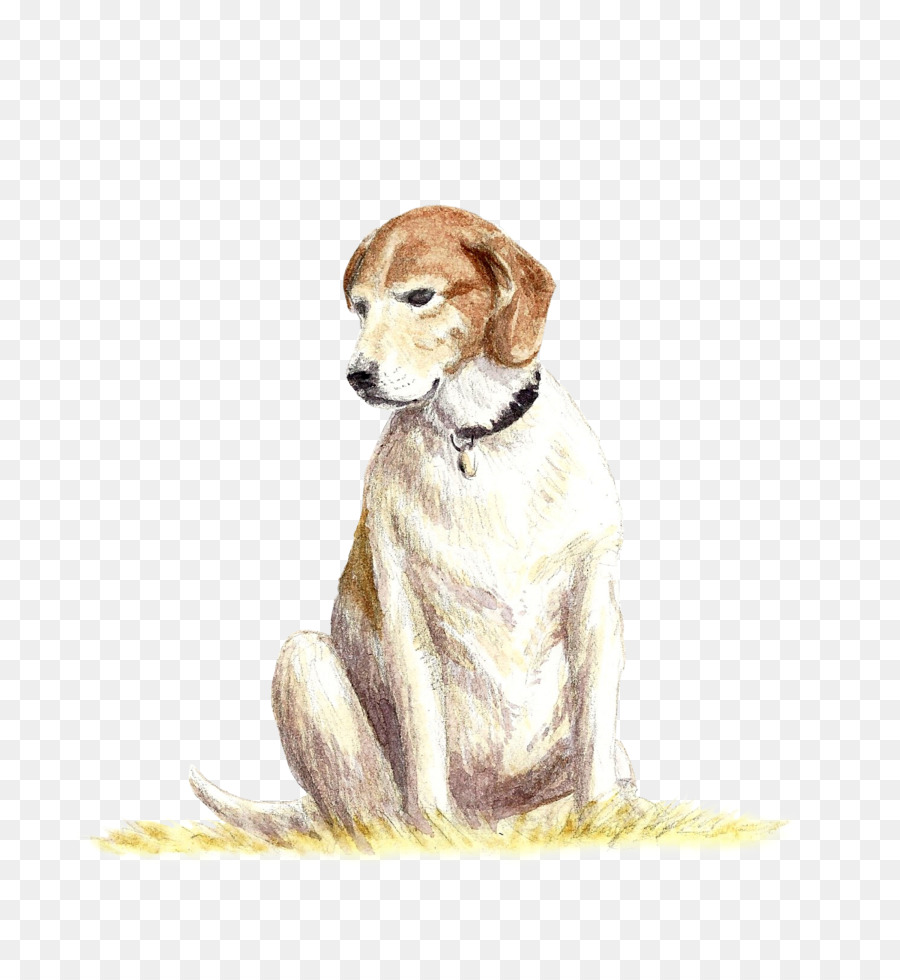 Raza De Perro，El Saluki PNG