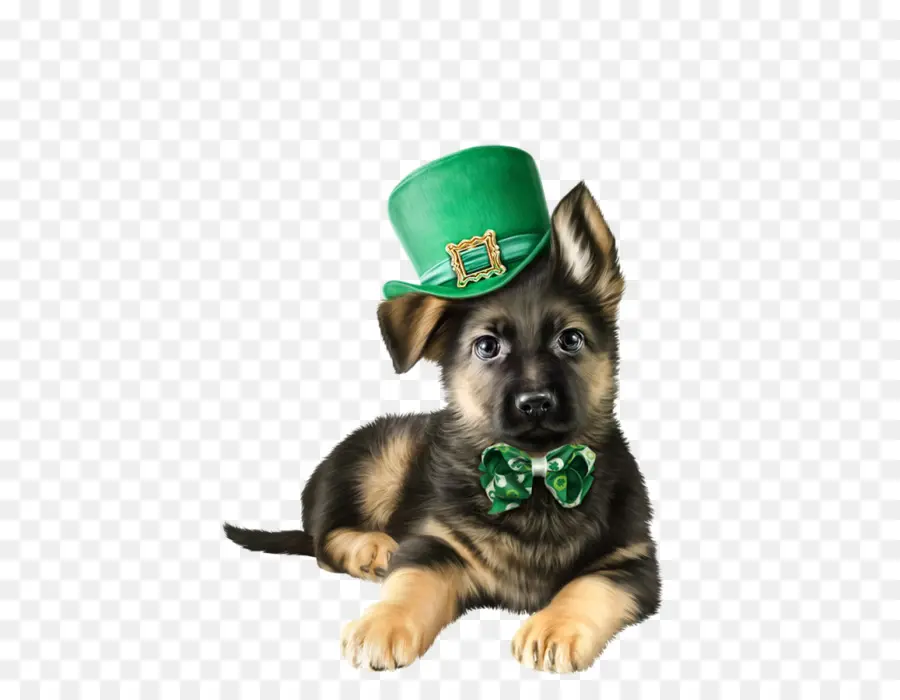 Cachorro Con Sombrero Verde，Perro PNG