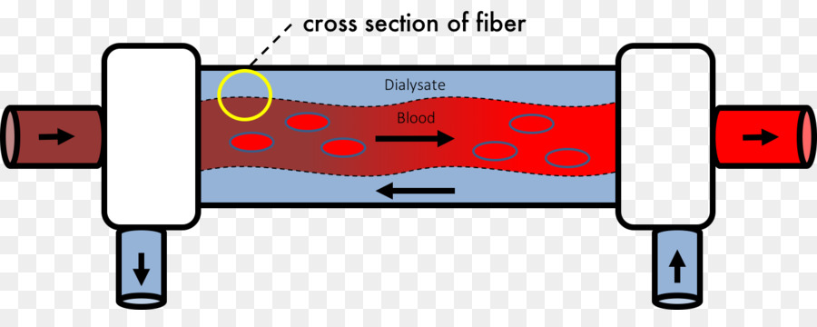 Proteína De Transmembrana，La Presión PNG