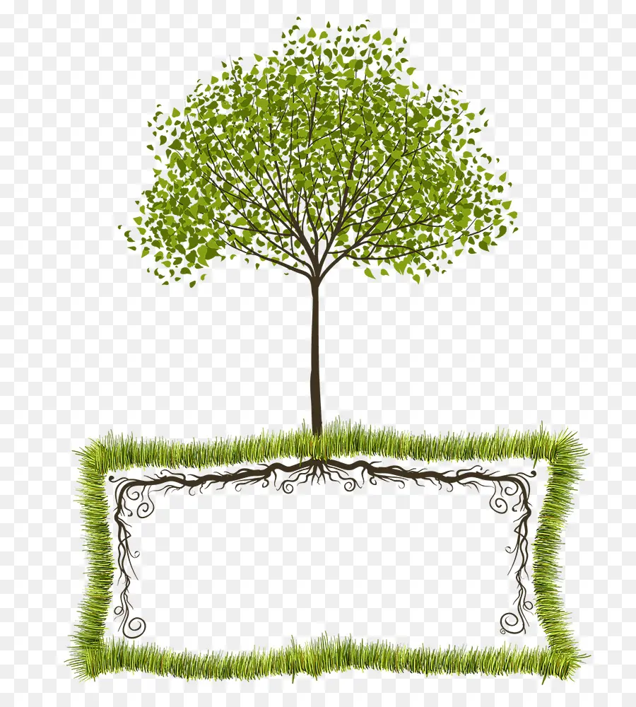 Árbol Con Raíces，Verde PNG