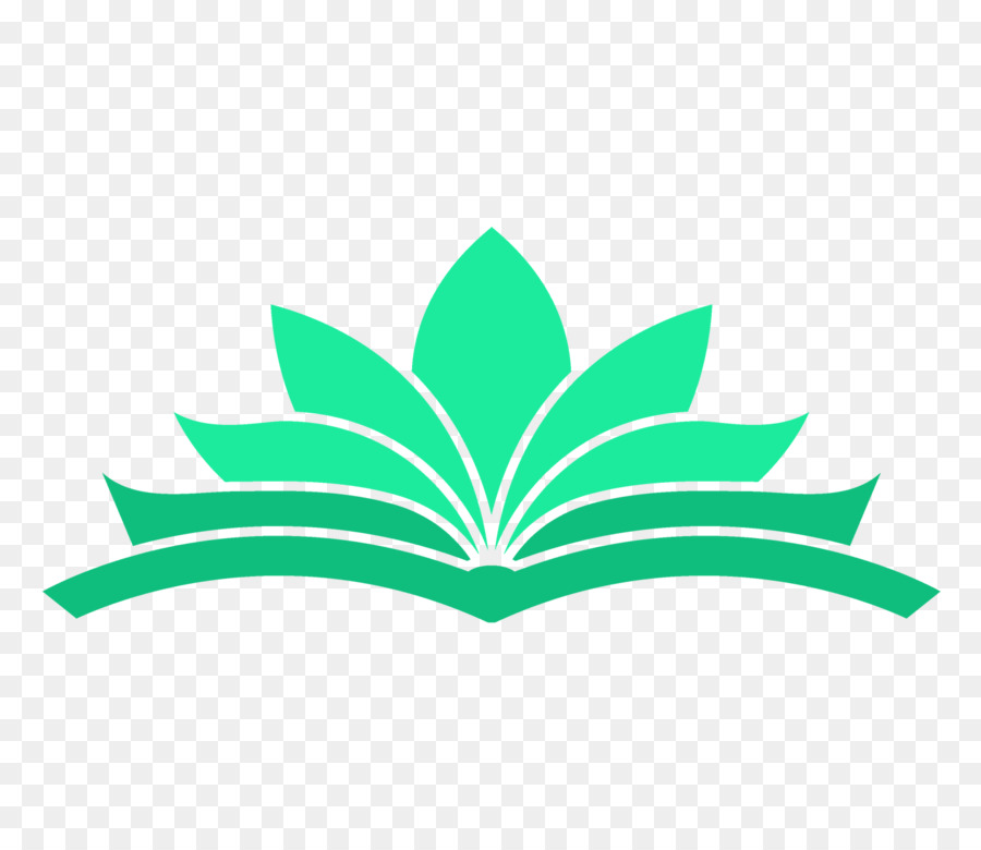 Libro，Papel PNG