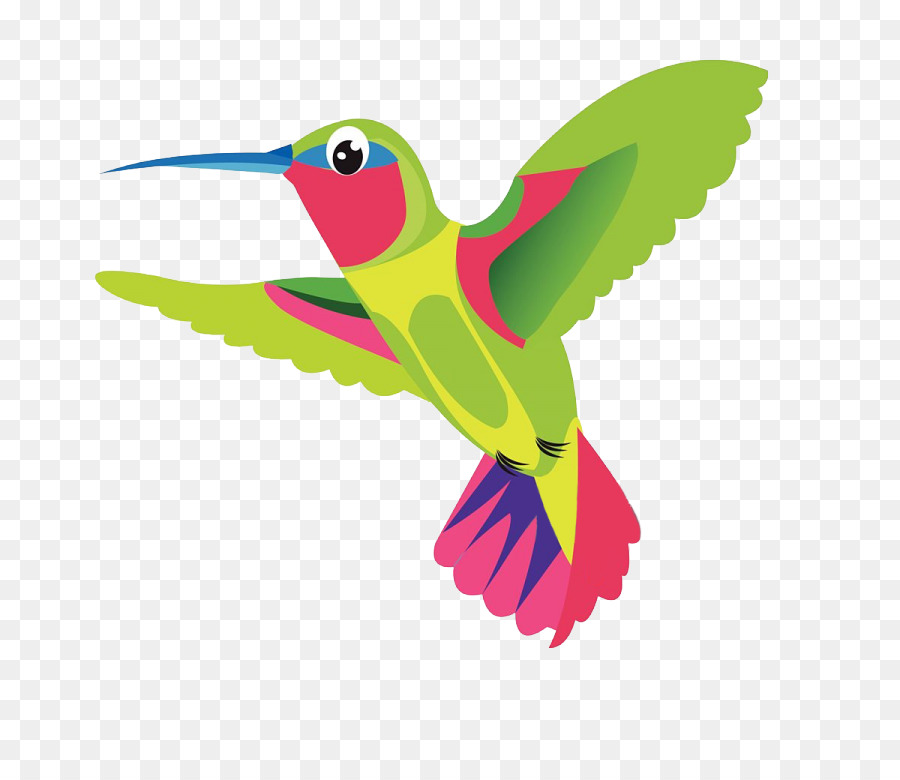 Colibrí，Pájaro PNG