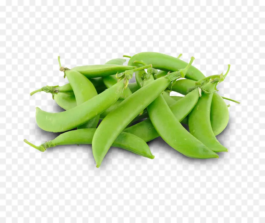 Chiles Verdes，Picante PNG