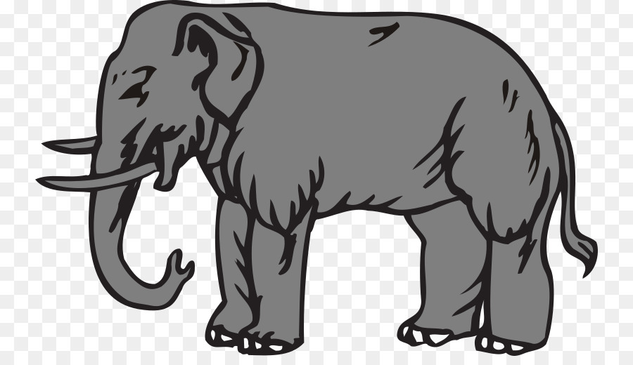 Elefante De Dibujos Animados，Elefante PNG