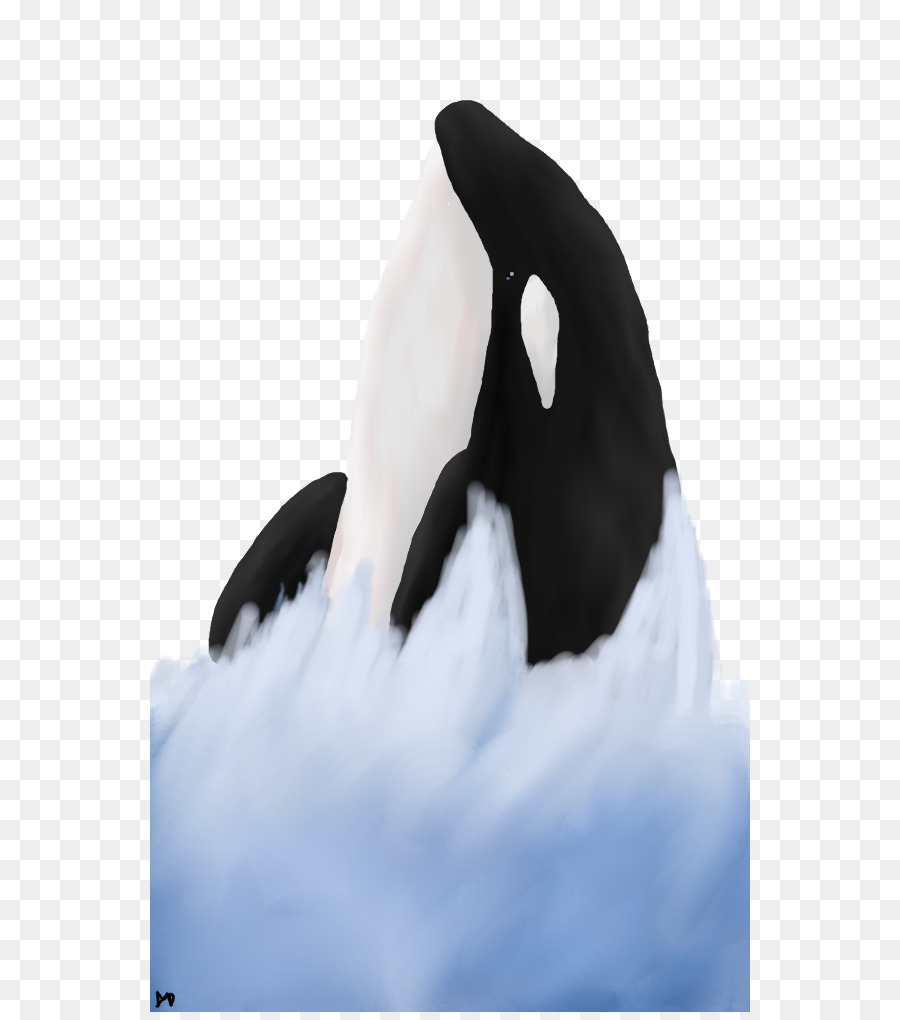 Penguin，Pájaro PNG