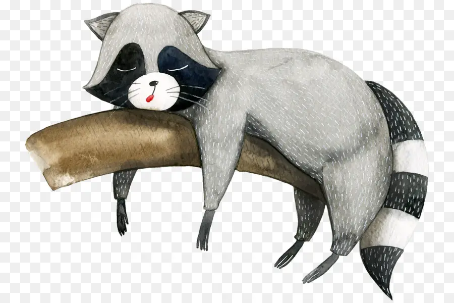 Mapache，Fondo De Escritorio PNG