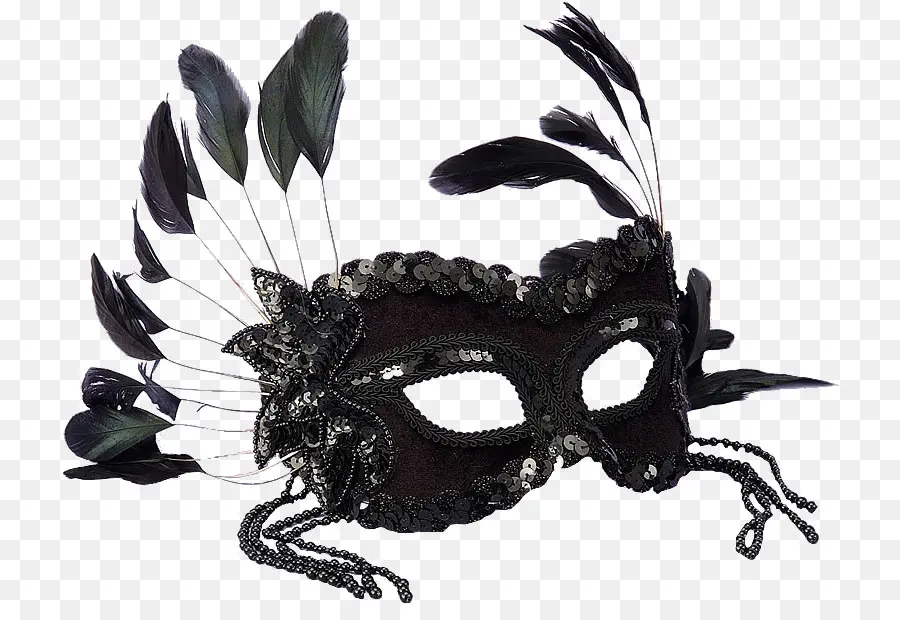 Máscara De Plumas Negras，Plumas PNG