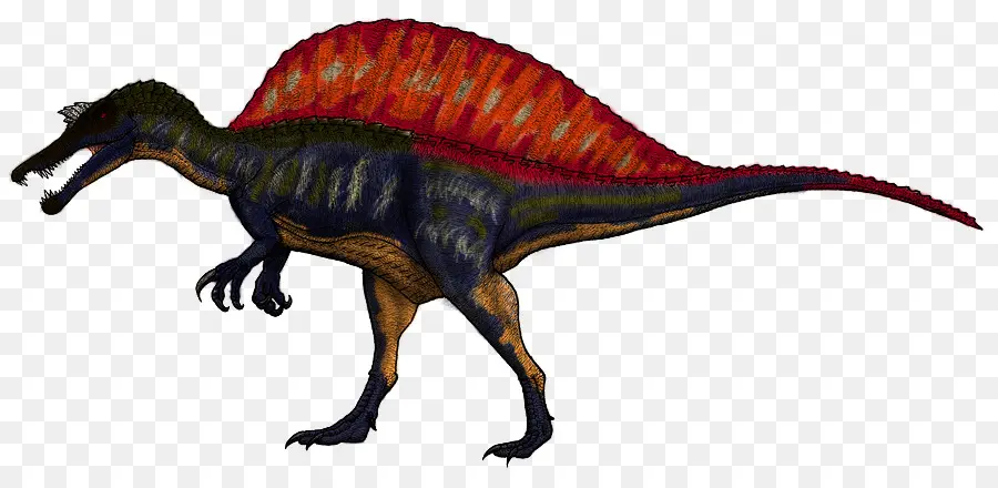 Spinosaurus，Baryonyx PNG