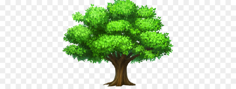 árbol，Fondo De Escritorio PNG