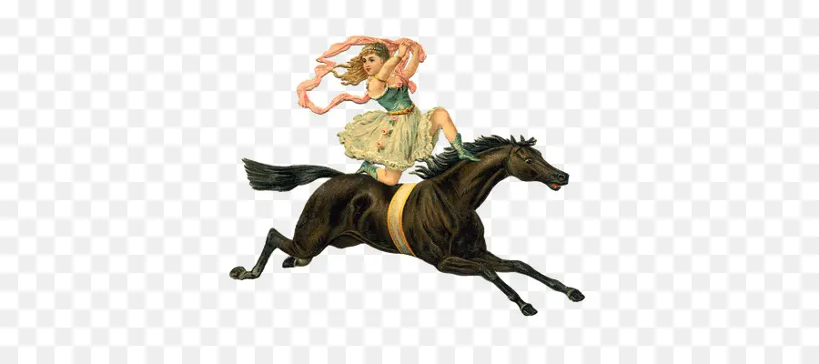 Caballo，Pony PNG