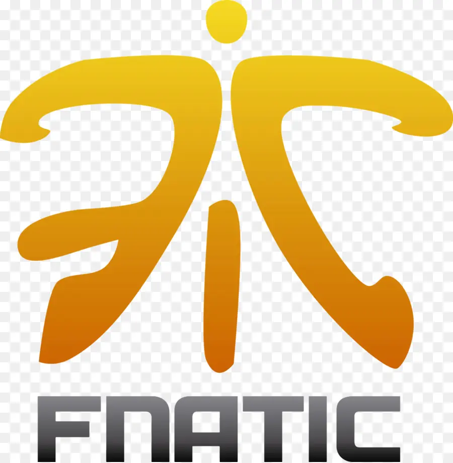 Counterstrike Global Offensive，Fnatic PNG