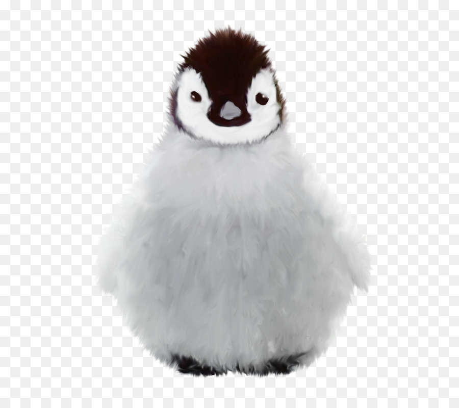 Penguin，Invierno PNG