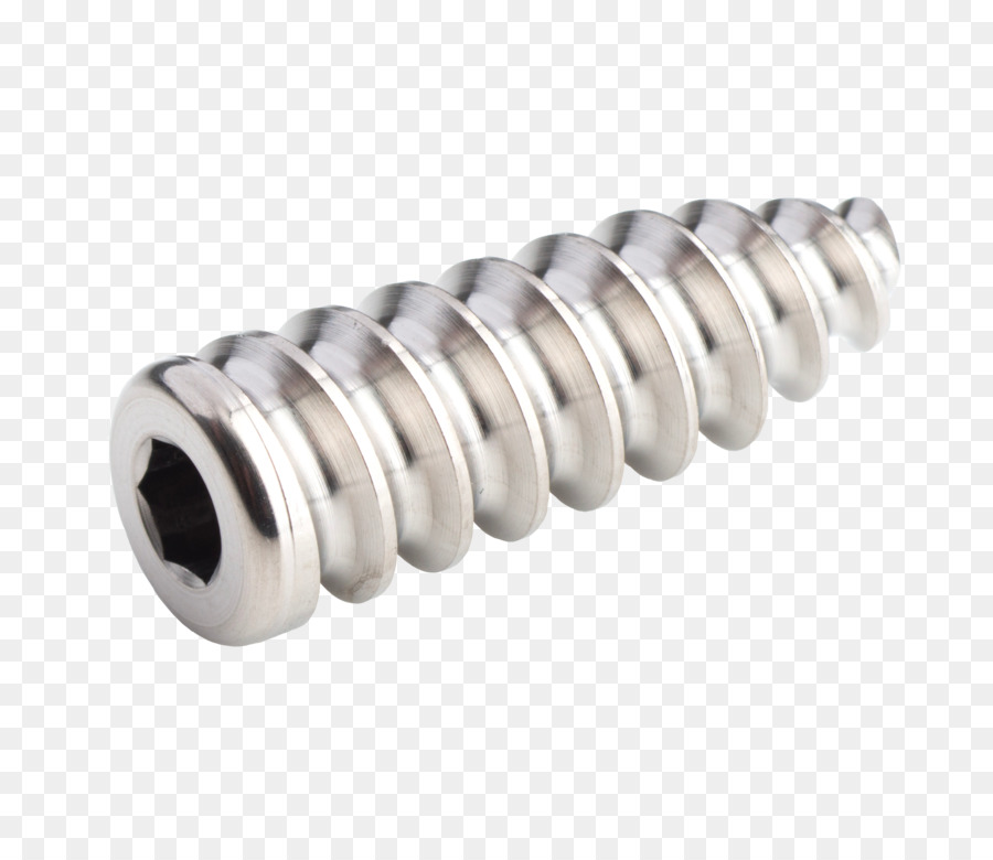 Tornillo，Metal PNG