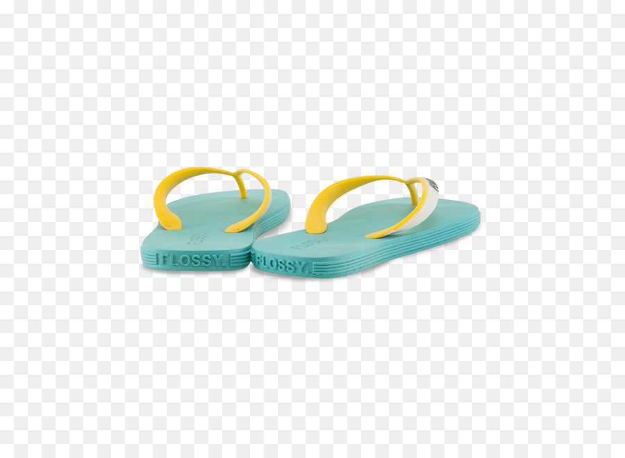 Flipflops，Zapato PNG