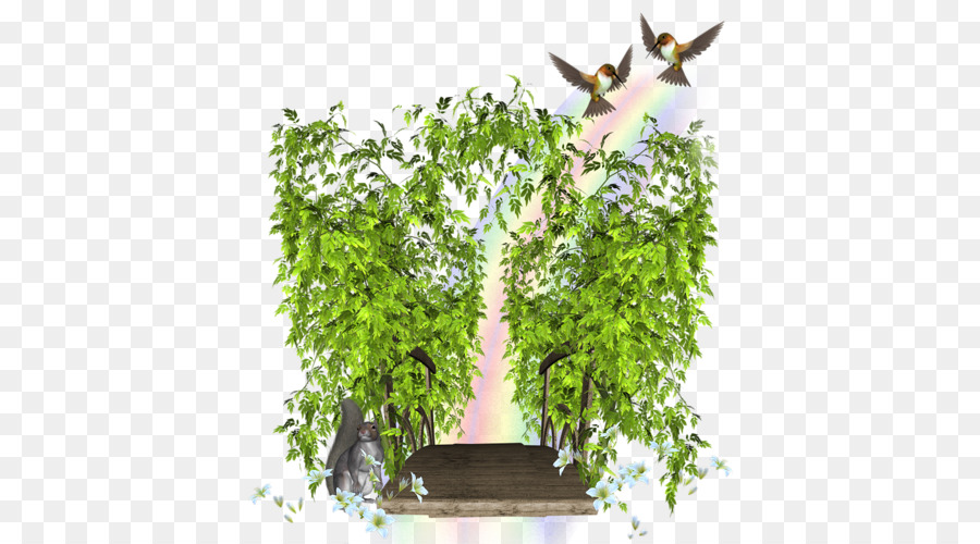 árbol，Dibujo PNG