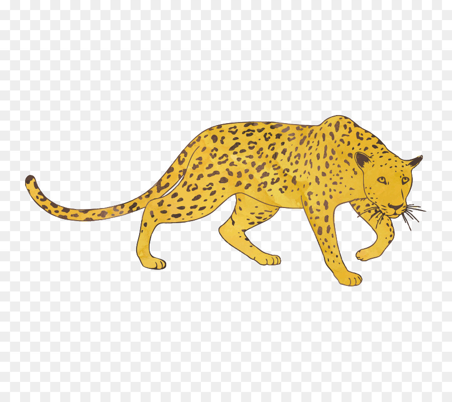 Leopard，Jaguar PNG