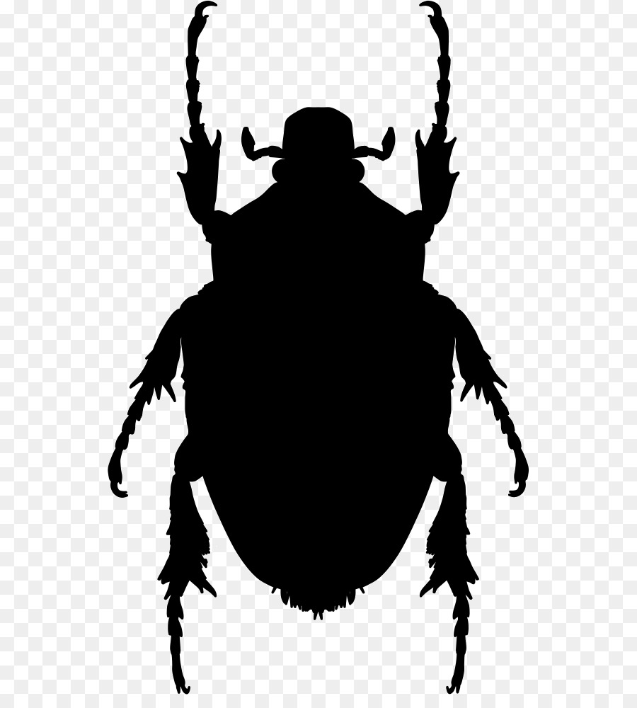 Los Insectos，Forma PNG