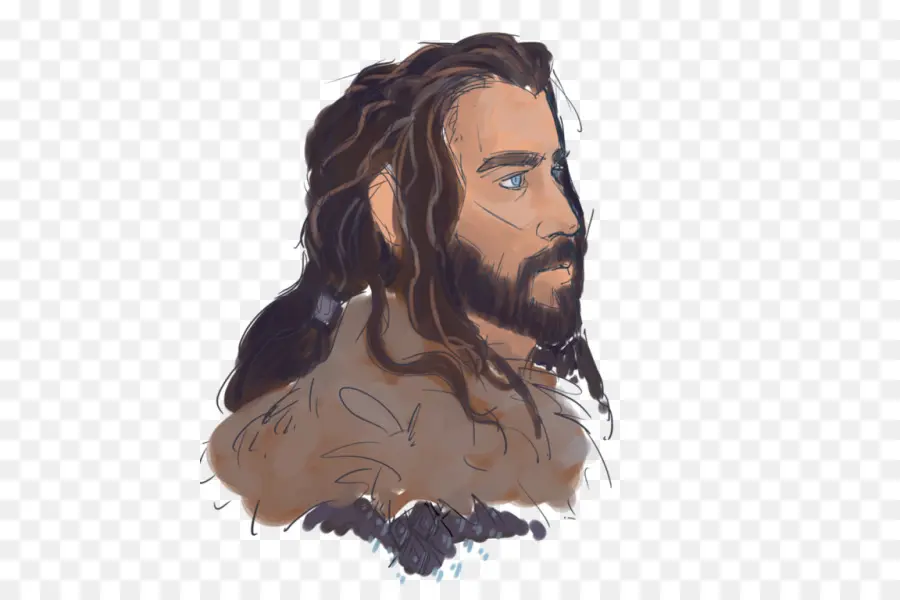 Thorn Thorin，Hobbit PNG