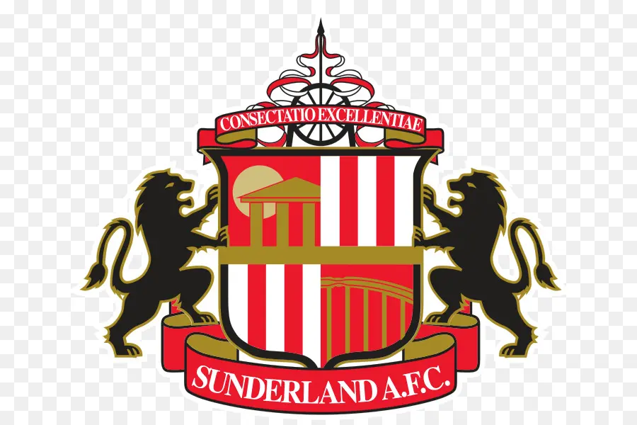 Sunderland Afc Logo，Fútbol Americano PNG