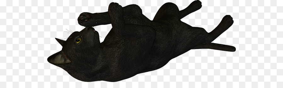 Gato，Negro PNG