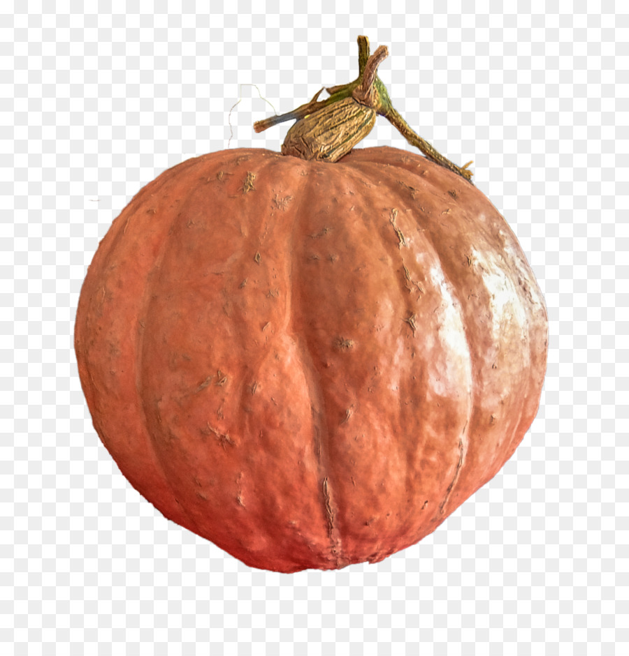 Calabaza，Calabaza De Invierno PNG