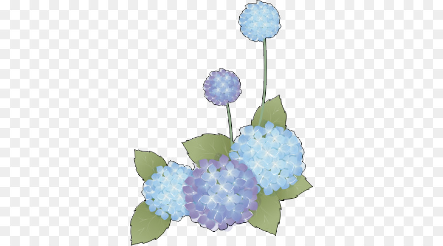 Diseño Floral，Postscript Encapsulado PNG